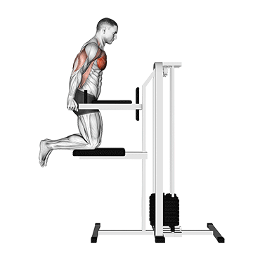 dips, exercice triceps